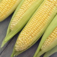 Кукуруза сахарная Пальмира F1 за 15 г