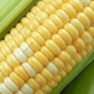Кукуруза сахарная Украинский биколор F1