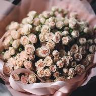 Троянда спрей Яна