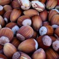 Саджанець Фундук Косфорд