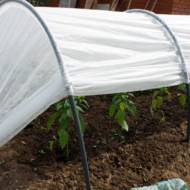 Парник Підсніжник