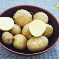 Насіннєва картопля Електра