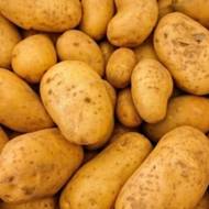 Семенной картофель Волюмия