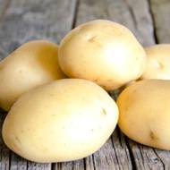 Семенной картофель Сенсейшн