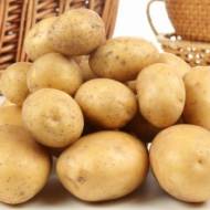 Семенной картофель Люсинда