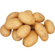 Семенной картофель Доната