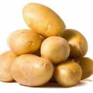 Насіннєва картопля Отолія