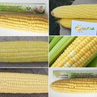 Набор «Кукурузная феерия» от ВНИС