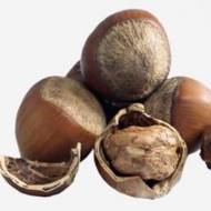 Саджанець Фундук Корабель