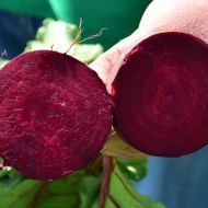 Буряк столовий Кестрел F1 за 2 г