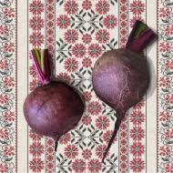 Буряк столовий Гопак за 3 г