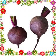 Свекла столовая Гопак за 3 г