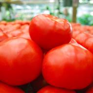 Томат Майсалун F1 за 10 сем.