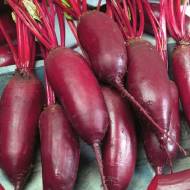 Буряк столовий Атаман