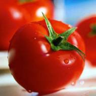 Томат Северная королева за 0,2 г