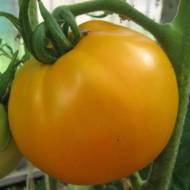 Томат Дынный ликер  за 0,1 г