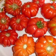 Томат Грибное лукошко за 0,1 г