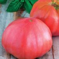 Томат Маркиз за 0,1 г