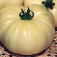 Томат Белый гигант за 0,1 г