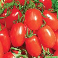 Томат Микки Маус за 0,1 г