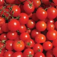 Томат Ягодка F1 за 0,1 г