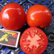 Томат Валютный за 0,1 г