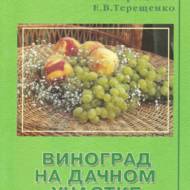 Виноград на дачній ділянці.