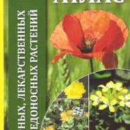 Атлас бур’янів, лікарських та медоносних рослин.