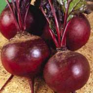 Буряк столовий Моніка