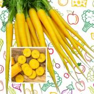 Морковь Люберишер за 5 г