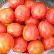 Томат Консервный полосатый за 0,1 г