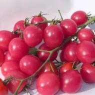 Томат Барбарис F1 за 0,15 г