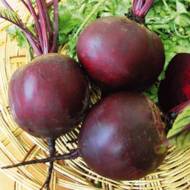 Буряк столовий Мулатка