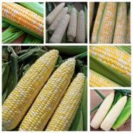 Комплект кукурудзи Ексклюзив