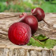 Буряк столовий Бебі Біт за 2 г