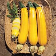 Кабачок Еллоу хаус F1 за 5 сем.