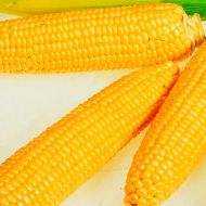 Кукуруза сахарная Орландо  F1