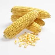 Кукуруза сахарная Клементина F1 за 10 г