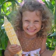 Унікальний комплект кукурудзи із 20 сортів