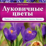 Луковичные цветы