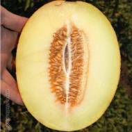 Диня Суперстар за 1,5 г