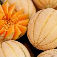 Диня Арагон F1 за 0,5 г