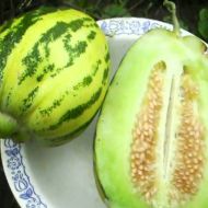 Диня Цукерочка за 0,2 г