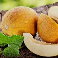 Диня Інея за 2 г