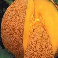 Диня Медовий аромат за 1 г