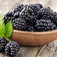 Саджанець Ожина Світ Пай в контейнері