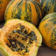 Гарбуз Голонасінний