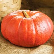 Гарбуз Руж Віф Д'Етамп за 3 г