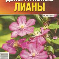 Декоративные лианы