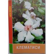 Клематисы